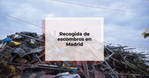 Lee más sobre el artículo Recogida de escombros en Madrid